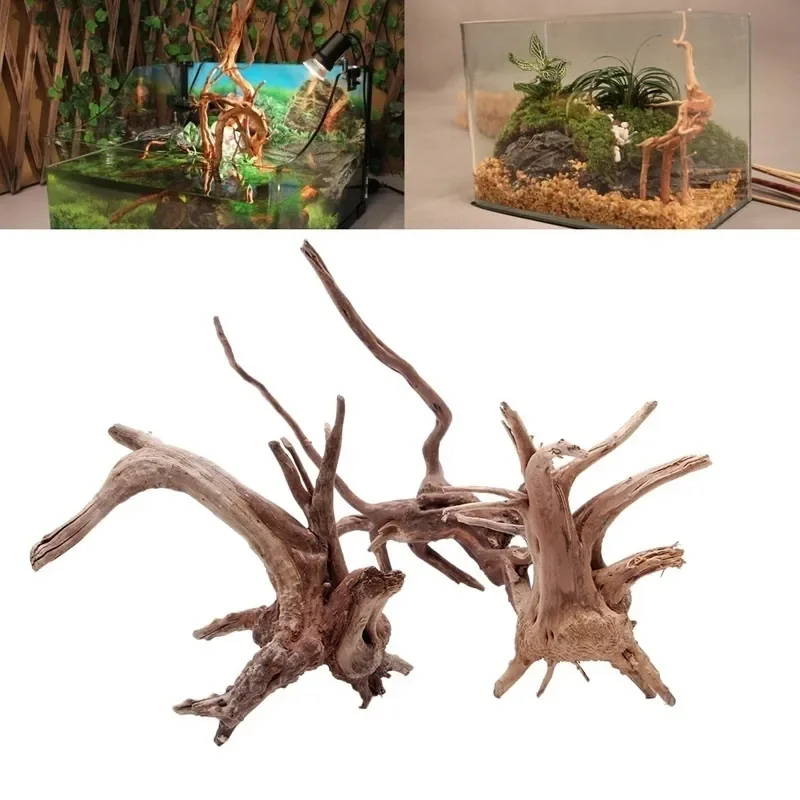 Marine Aquarium For Sale - Tronc d'Arbre Naturel en Bois Flotté