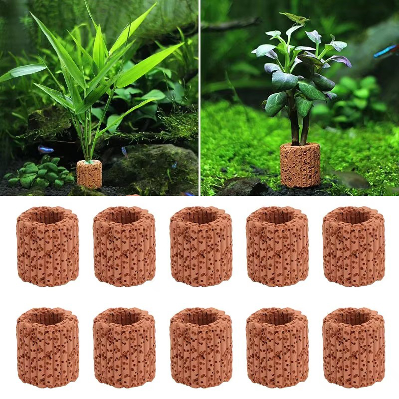 Marine Aquarium For Sale - Anneau fixe pour plantes aquatiques, pour