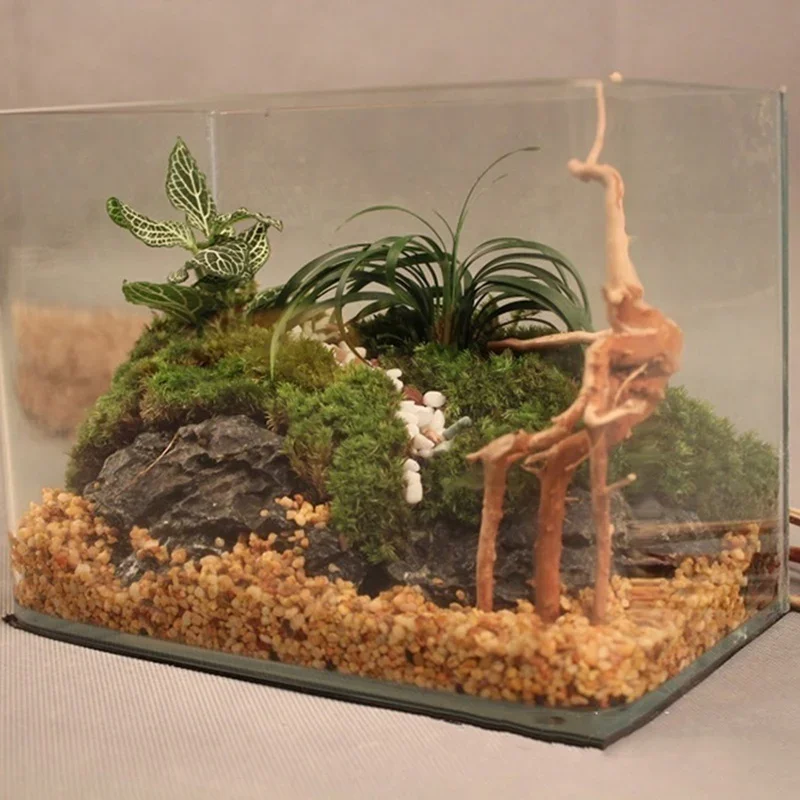 Tronc d'Arbre Naturel en Bois  - Marine Aquarium For Sale avis et prix
