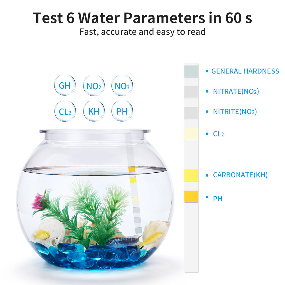 Bandelettes de Test de Qualité - Marine Test Kit avis et prix