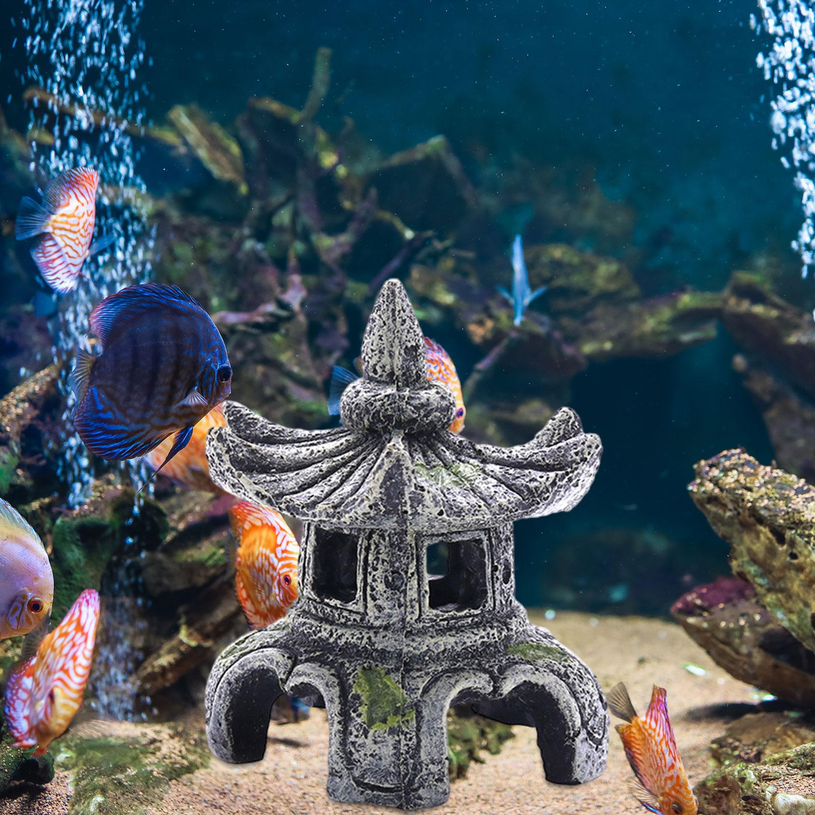 Ornement d'aquarium, accessoir - Marine Aquarium For Sale avis et prix